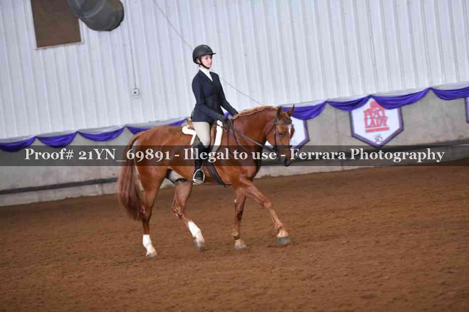 Proof Number 21YN_69891