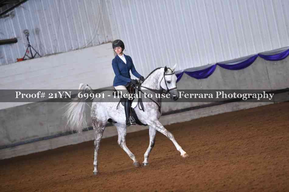 Proof Number 21YN_69901