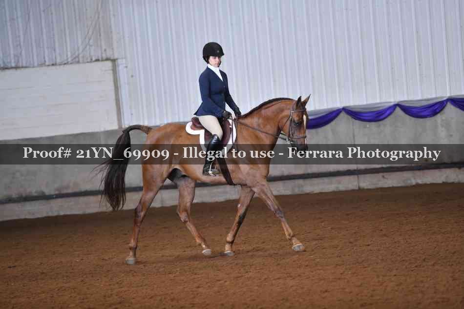 Proof Number 21YN_69909