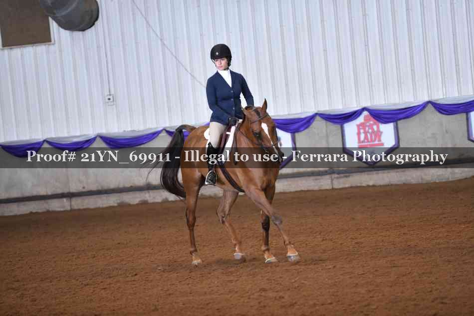 Proof Number 21YN_69911