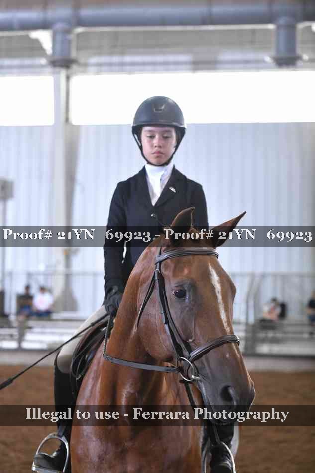 Proof Number 21YN_69923