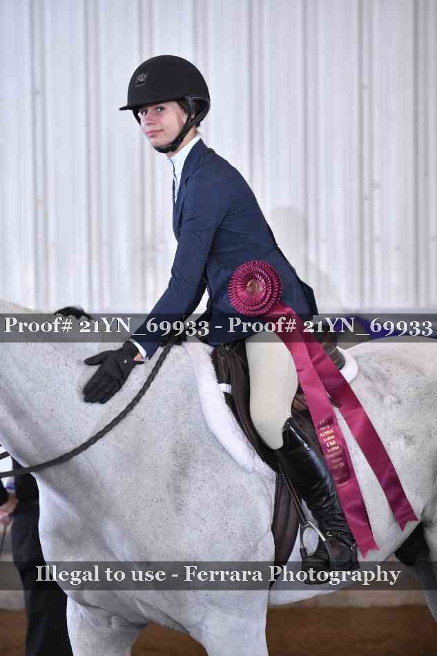Proof Number 21YN_69933