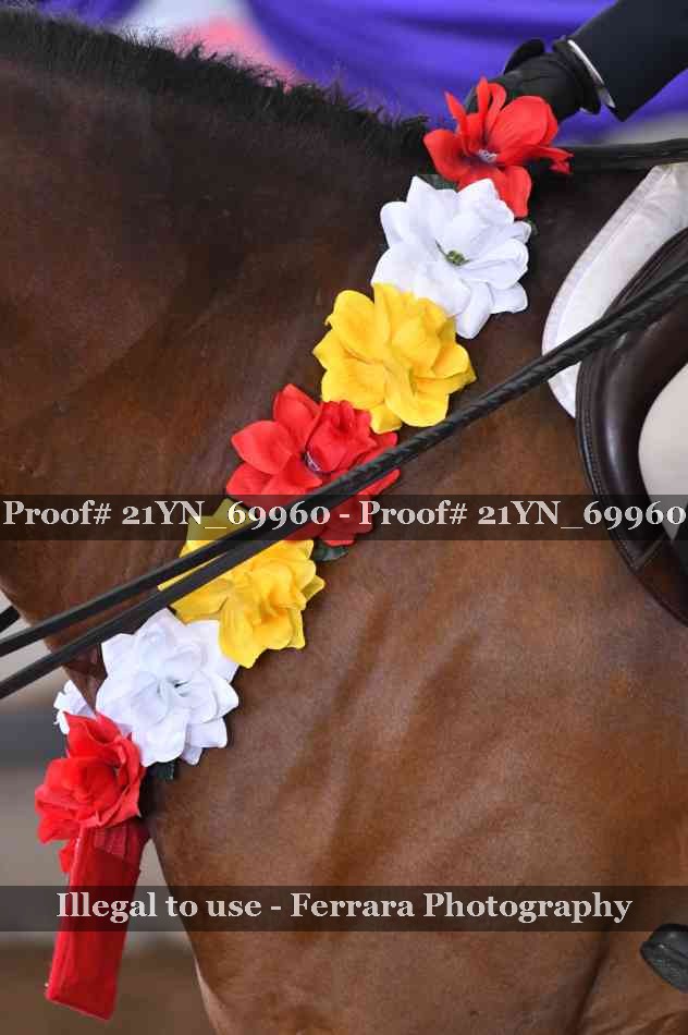 Proof Number 21YN_69960
