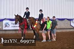 21YN_69972 thumbnail