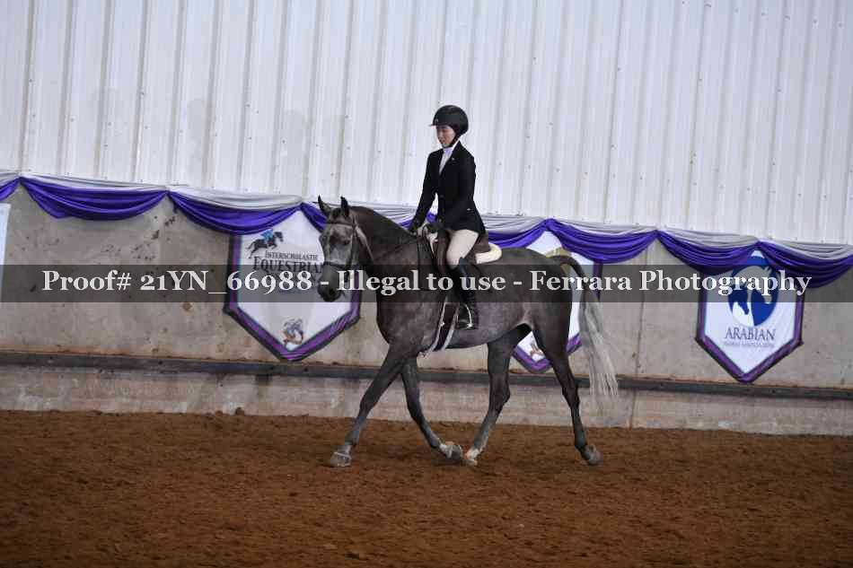 Proof Number 21YN_66988