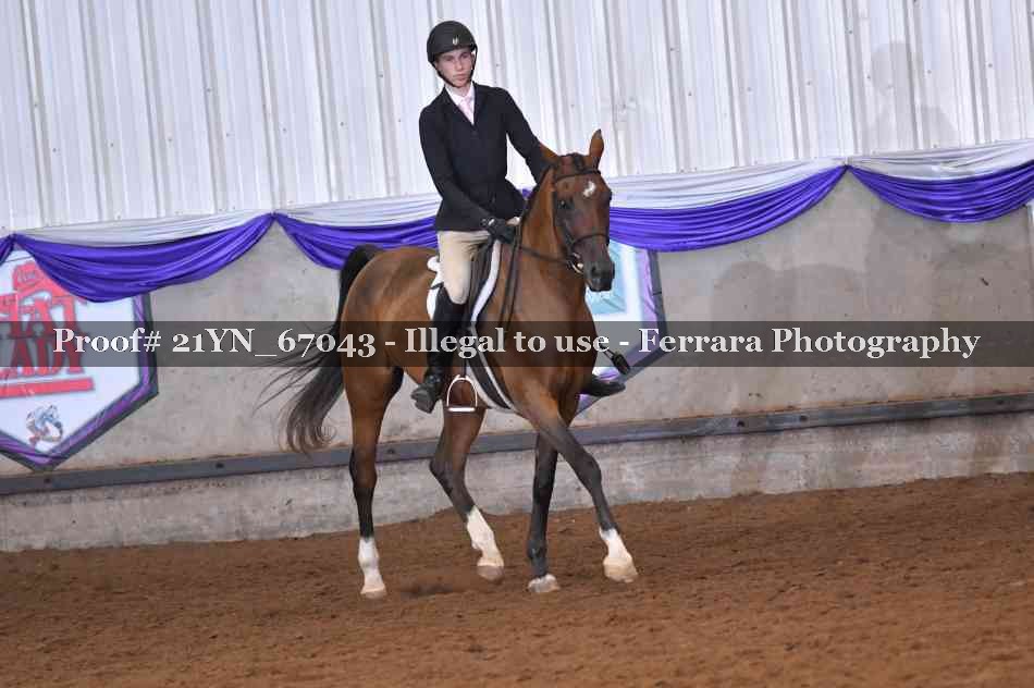 Proof Number 21YN_67043