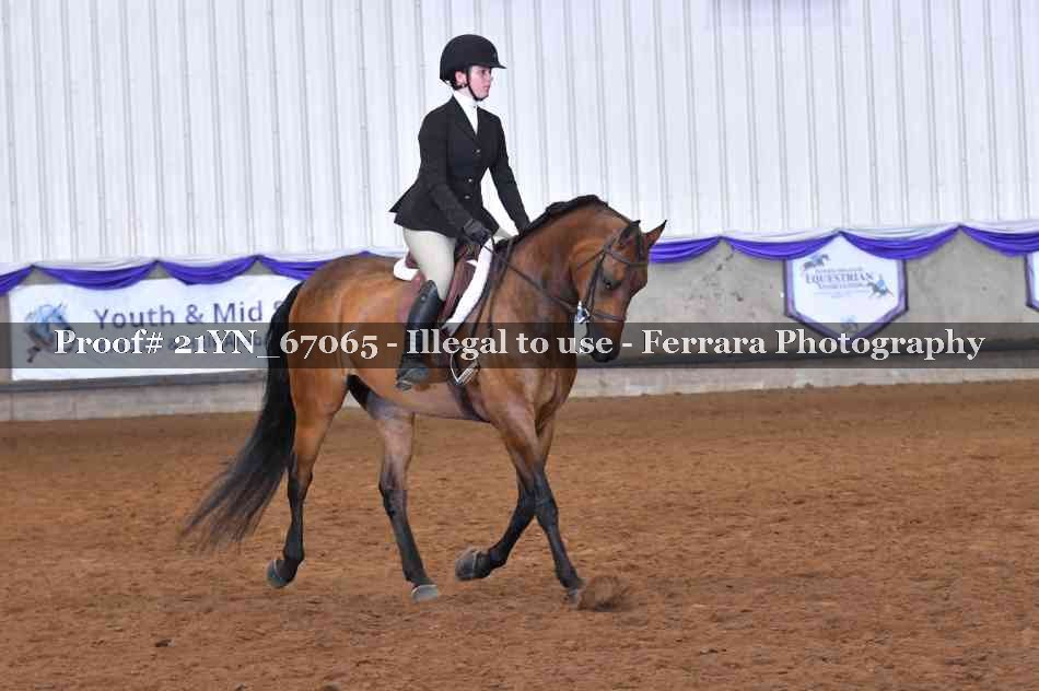 Proof Number 21YN_67065