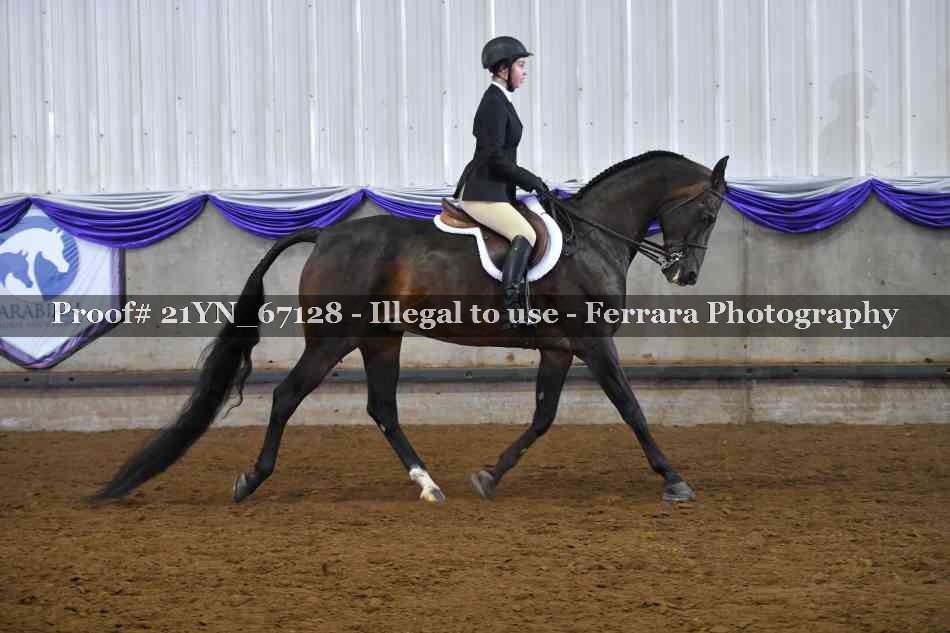Proof Number 21YN_67128