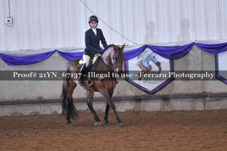Proof Number 21YN_67137
