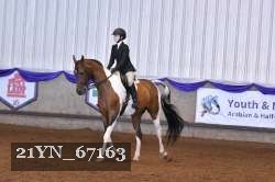 21YN_67163 thumbnail