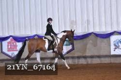 21YN_67164 thumbnail