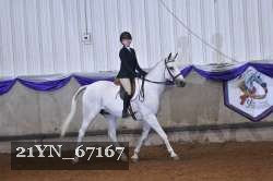 21YN_67167 thumbnail