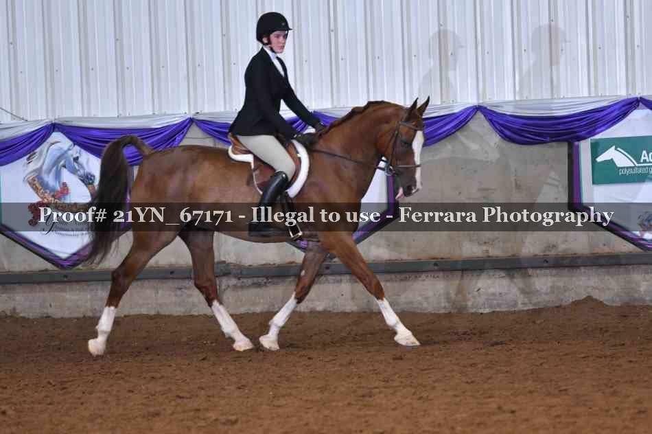 Proof Number 21YN_67171