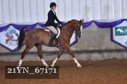 21YN_67171 thumbnail