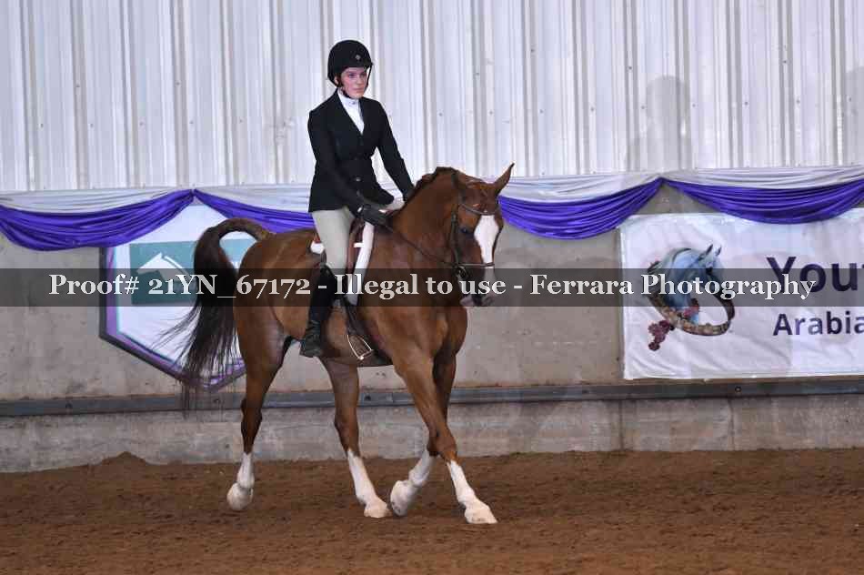 Proof Number 21YN_67172