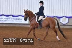 21YN_67174 thumbnail