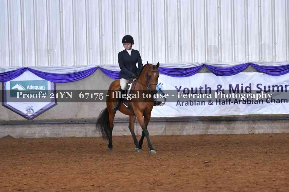 Proof Number 21YN_67175