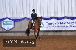 21YN_67175 thumbnail