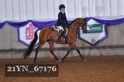 21YN_67176 thumbnail
