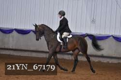 21YN_67179 thumbnail