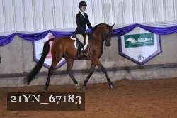21YN_67183 thumbnail