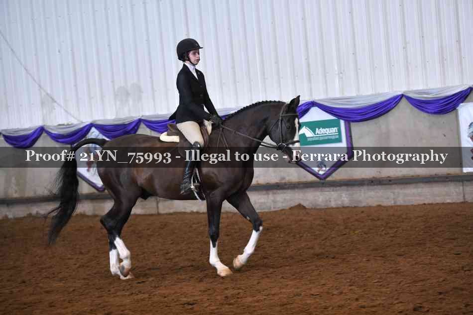 Proof Number 21YN_75993