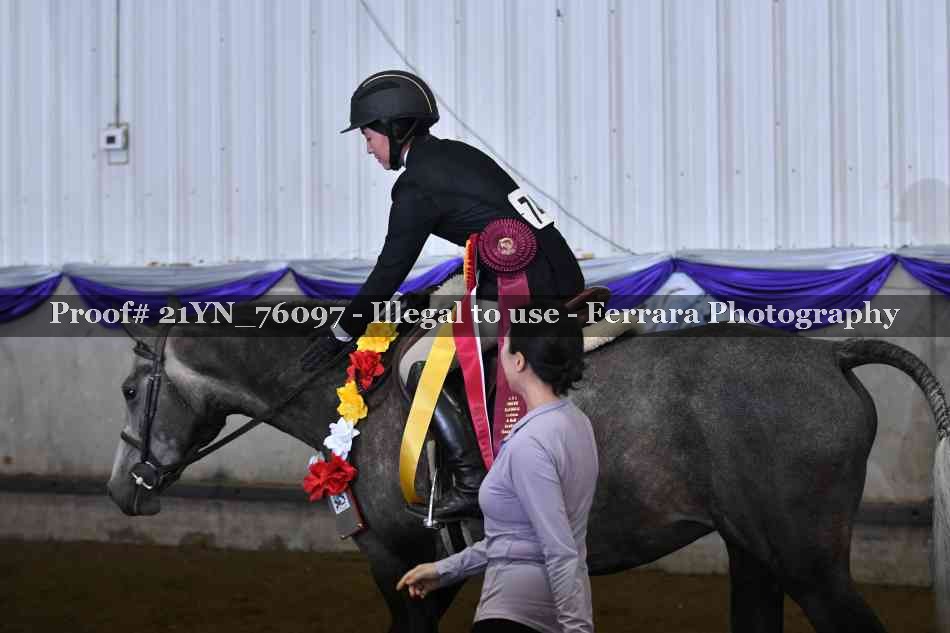 Proof Number 21YN_76097