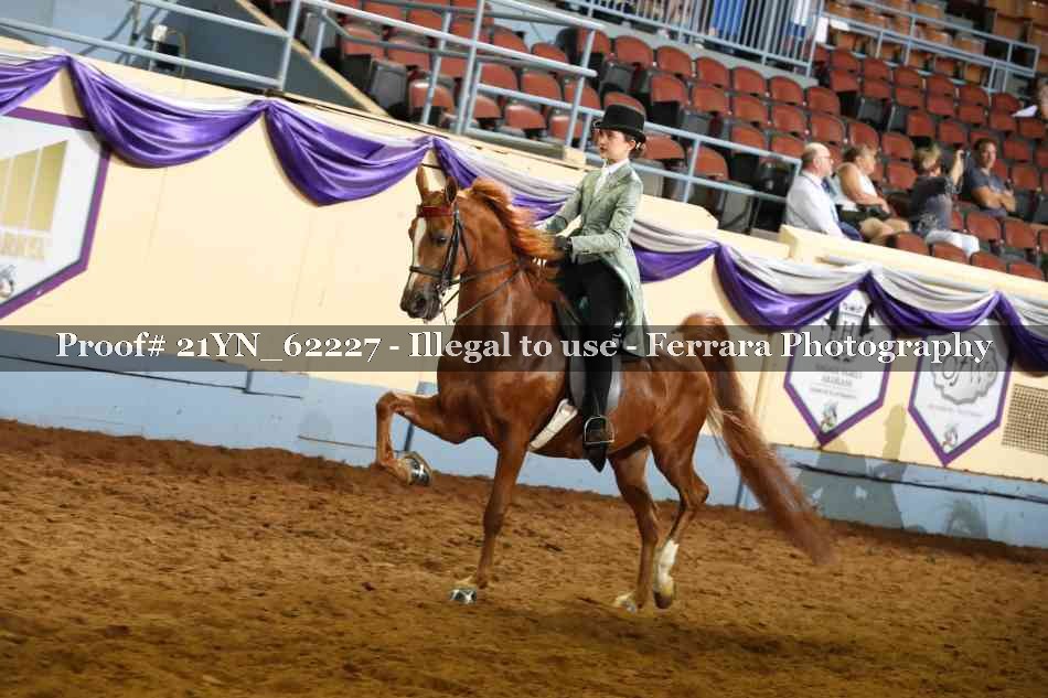 Proof Number 21YN_62227