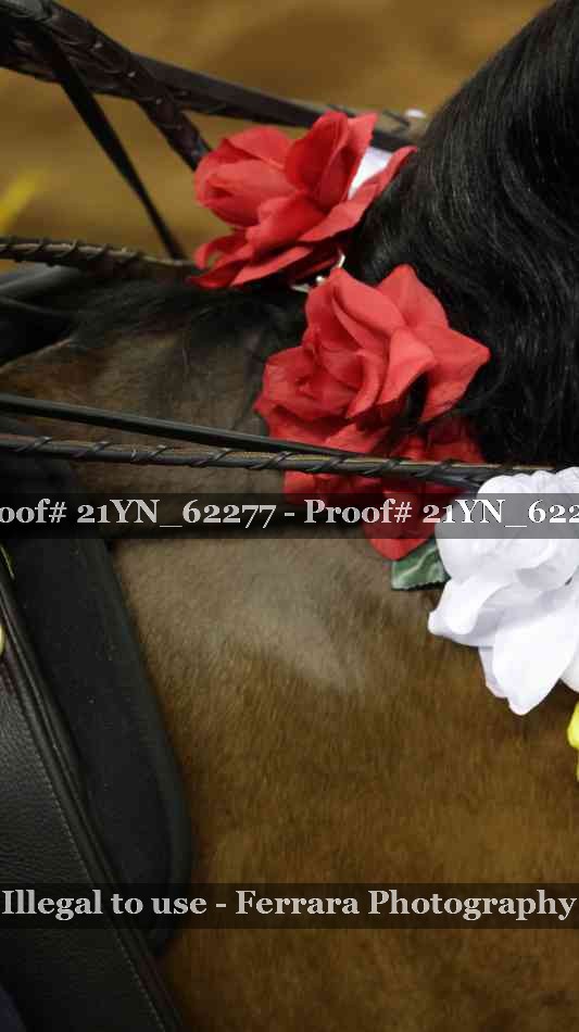 Proof Number 21YN_62277