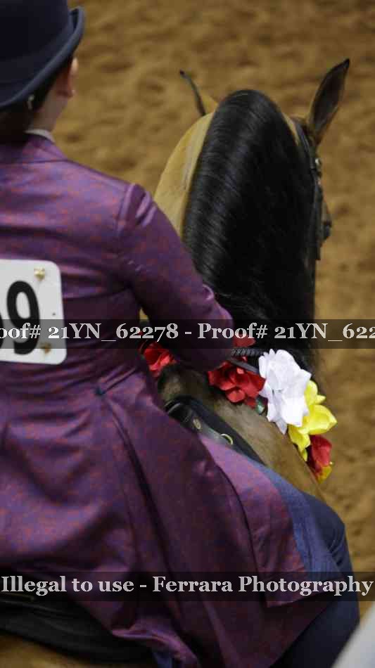 Proof Number 21YN_62278
