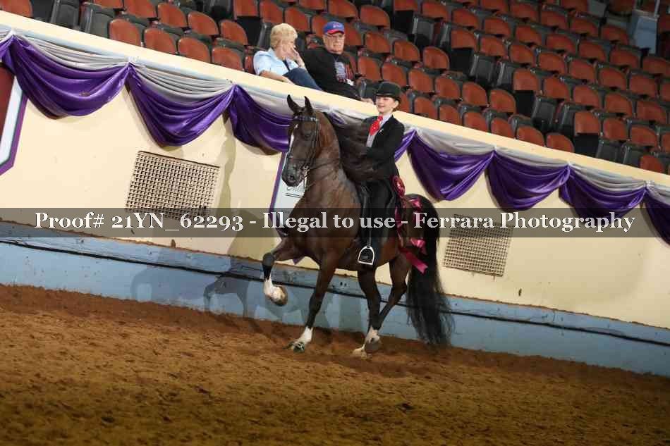 Proof Number 21YN_62293