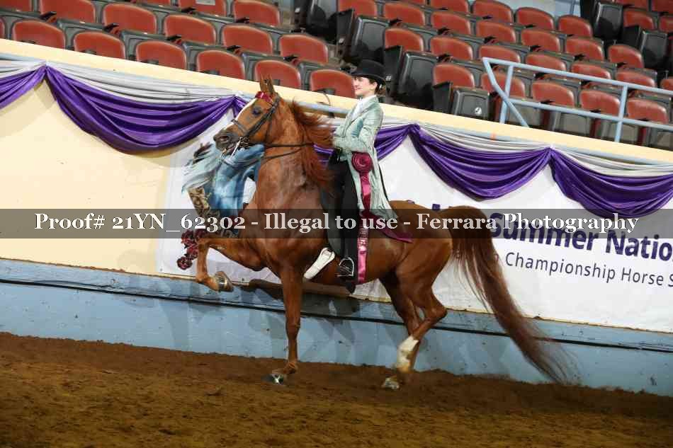 Proof Number 21YN_62302
