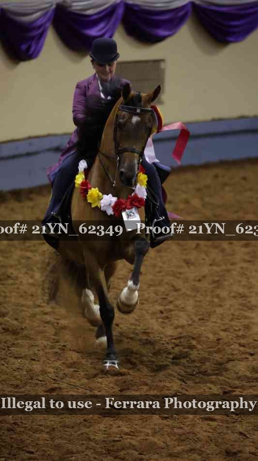 Proof Number 21YN_62349