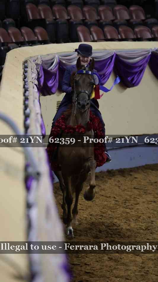 Proof Number 21YN_62359