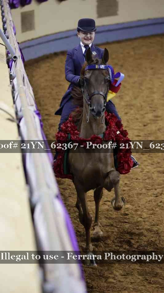 Proof Number 21YN_62367