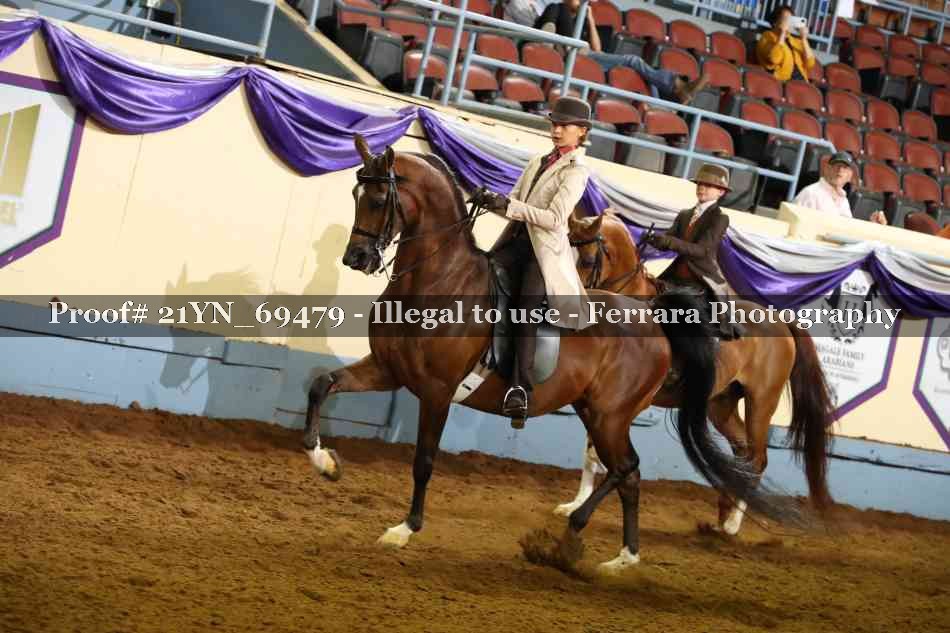 Proof Number 21YN_69479