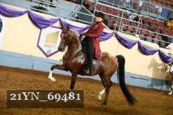 21YN_69481 thumbnail