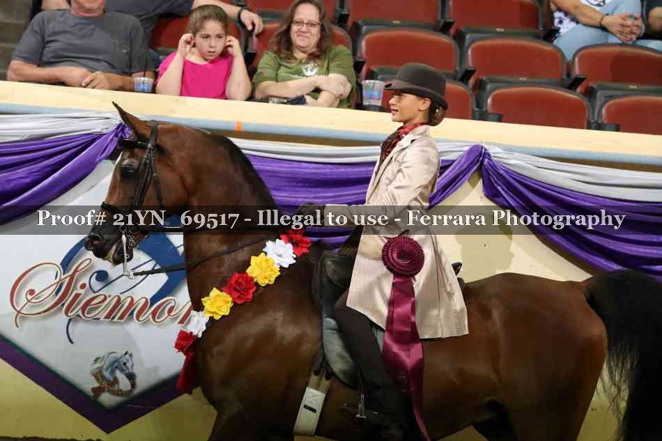 Proof Number 21YN_69517