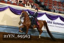 21YN_69563 thumbnail