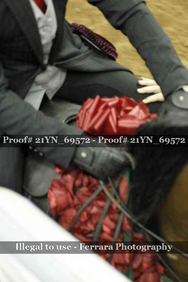 Proof Number 21YN_69572