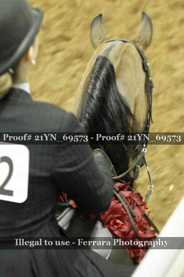 Proof Number 21YN_69573