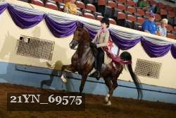 21YN_69575 thumbnail