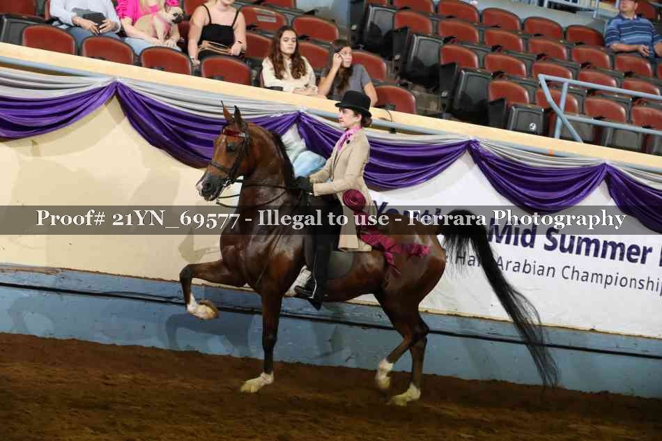 Proof Number 21YN_69577