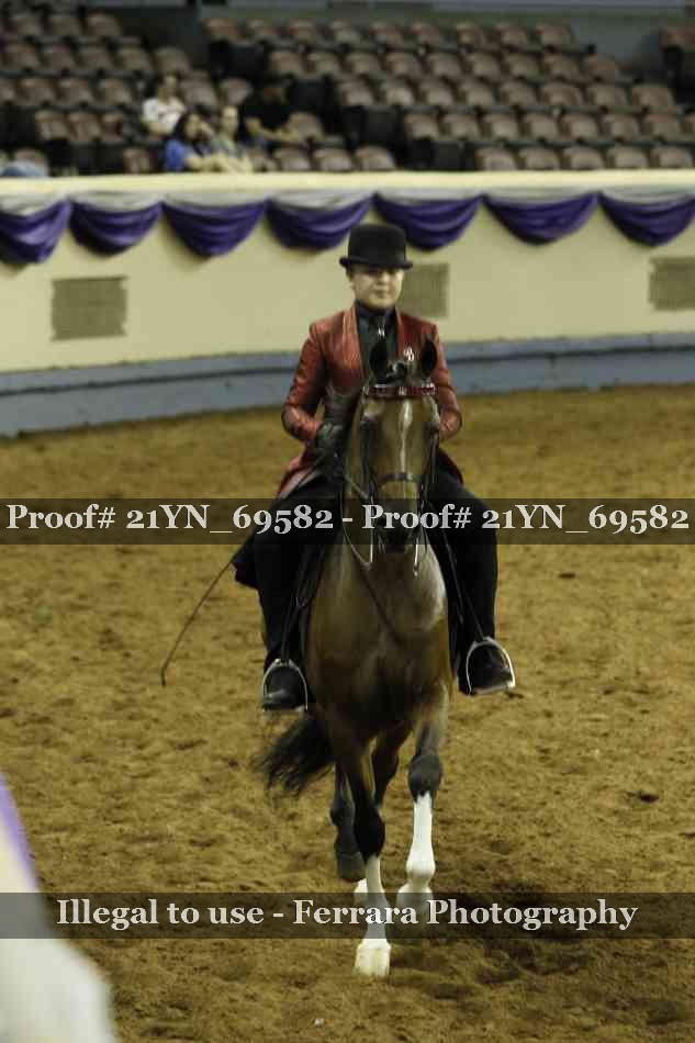 Proof Number 21YN_69582