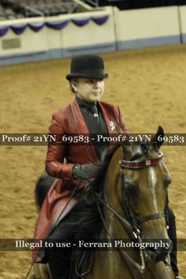 Proof Number 21YN_69583