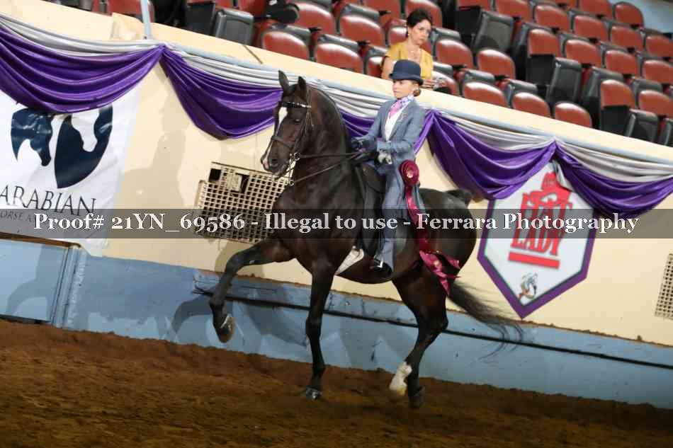 Proof Number 21YN_69586