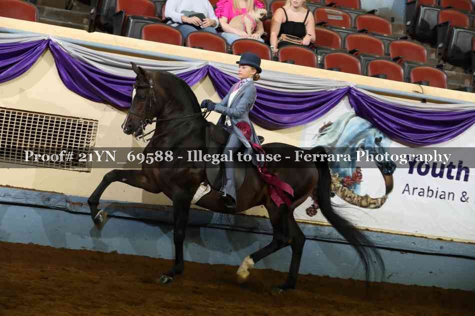 Proof Number 21YN_69588