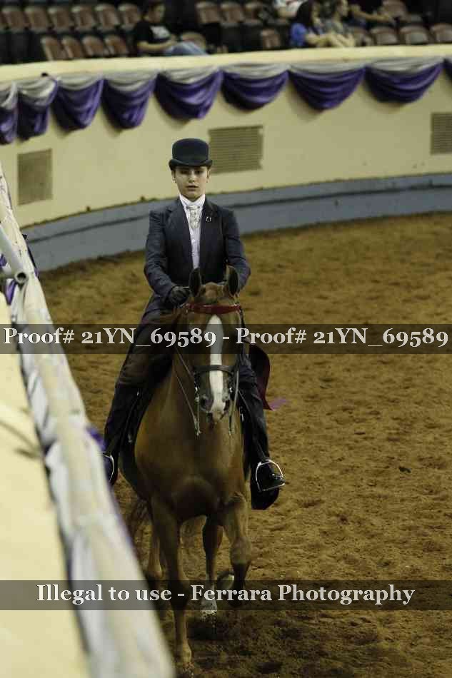 Proof Number 21YN_69589