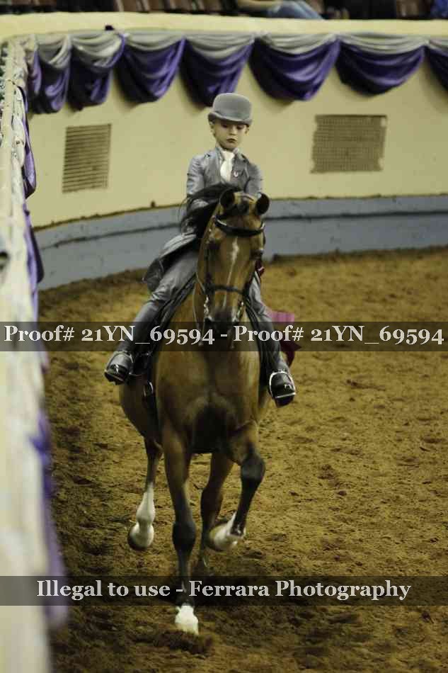 Proof Number 21YN_69594