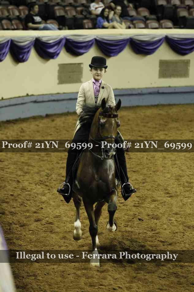 Proof Number 21YN_69599